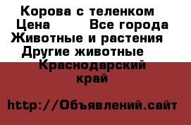 Корова с теленком › Цена ­ 69 - Все города Животные и растения » Другие животные   . Краснодарский край